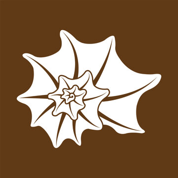Minimalist Outline Vector Illustration of a Star Shell
