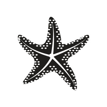 Minimalist Outline Vector Illustration of a Star Shell