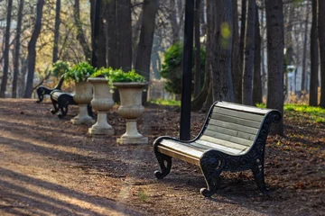 Empty wooden bench in spring park © dashabelozerova