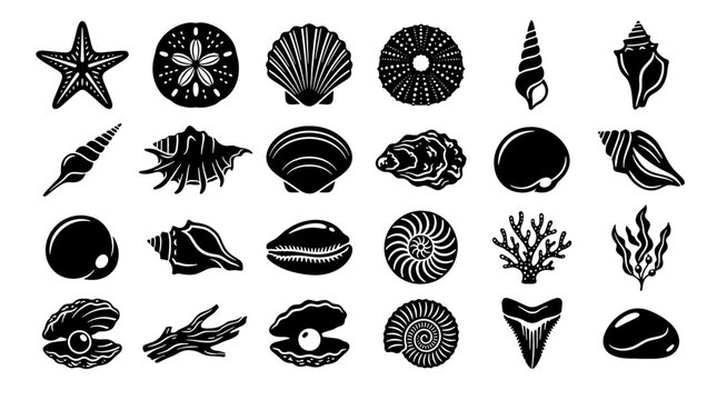 Sea Shell Collection Vector Icon Set, Marine Ocean Shell Silhouette Nature Symbols