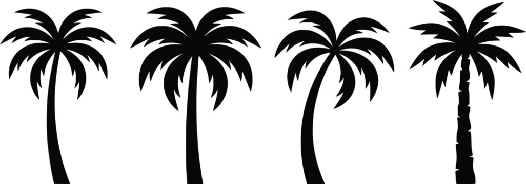 Four diverse palm tree silhouettes against a pure white background representing tropical nature and summer travel in a clean graphic style