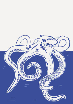 Octopus illustration, sea creature, blue and white, ocean animal, aquatic design