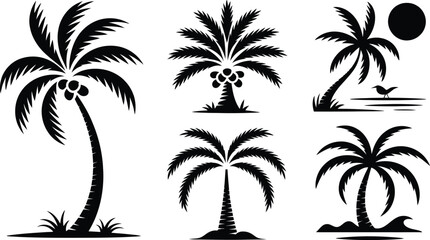 Fototapeta premium Tropical Palm Tree Silhouettes Vector Collection