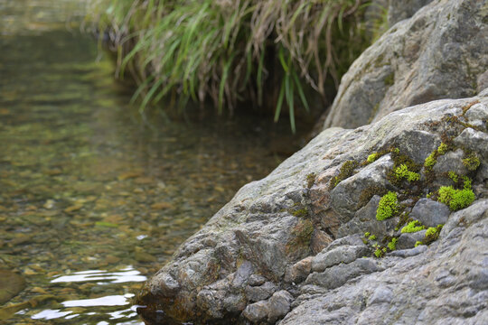 自然豊かな渓流の岸辺に佇む苔むした岩と静かな流水の風景
