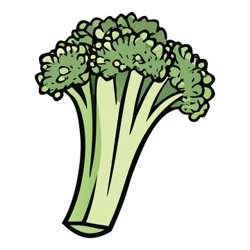 Realistic broccoli vegetable icon with detailed leaves for organic farm fresh produce concept