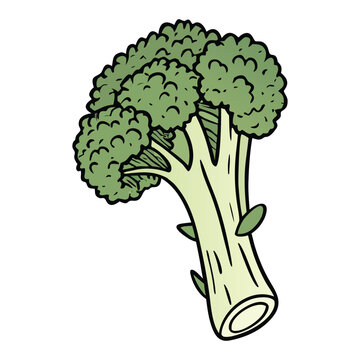 Healthy organic broccoli vegetable isolated on clean background vector for nutrition awareness campaign