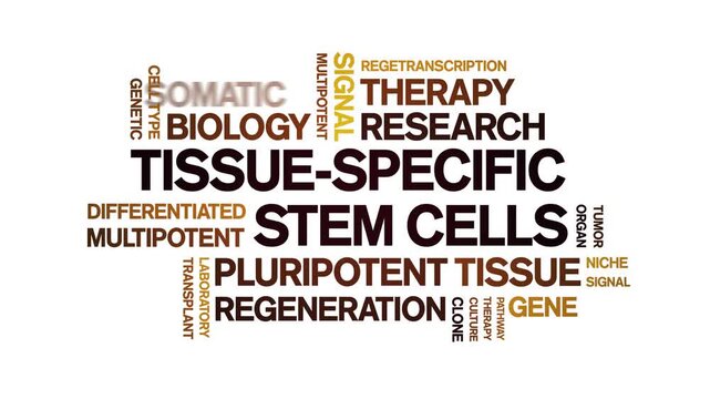 tissue-specific stem cells animated word cloud-text design animation tag kinetic typography seamless loop.
