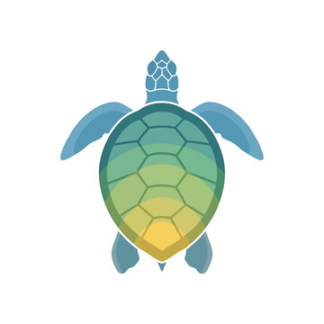Colorful turtle shell with flippers.
