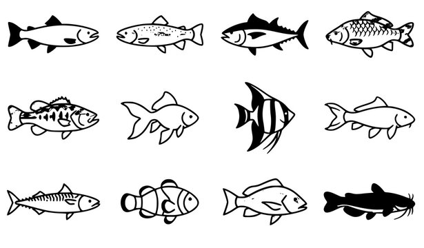 Black White Fish Outline Glyph Icon Set Vector Illustration Collection of Freshwater Ocean Species Design Elements Bundle