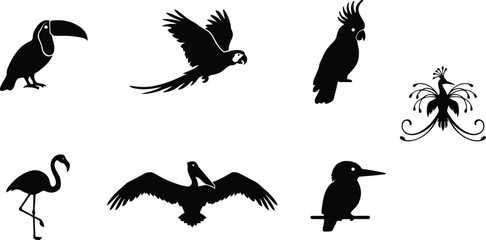 Obraz premium Set of exotic bird silhouettes featuring toucan parrot flamingo pelican and cockatoo for tropical nature design