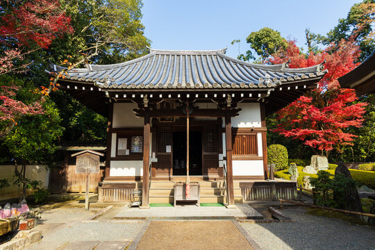 日本の風景・秋　京都　紅葉の泉涌寺　楊貴妃観音堂
