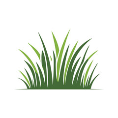 Fototapeta premium Green grass blades vector illustration
