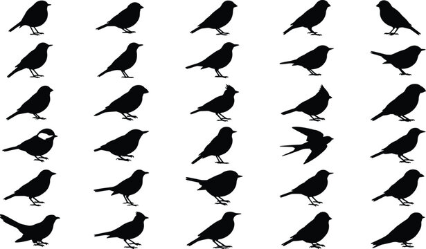 Graphic collection of various songbird silhouettes showing diverse behaviors and perched profiles