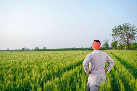 young indian farmer standing at green wheat field