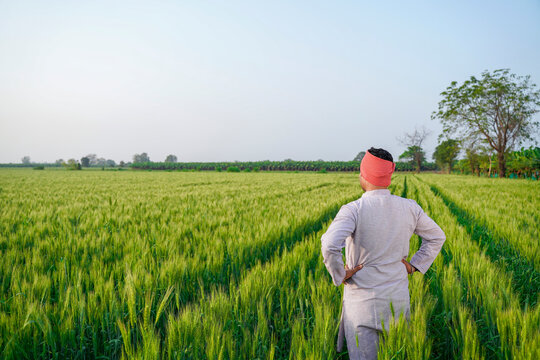 young indian farmer standing at green wheat field