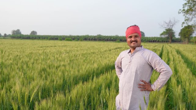 young indian farmer standing at green wheat field