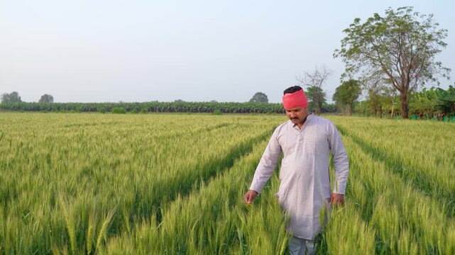 young indian farmer standing at green wheat field