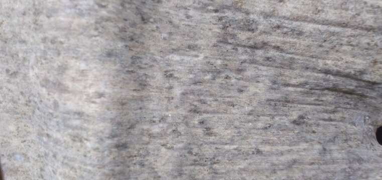 stone wall texture