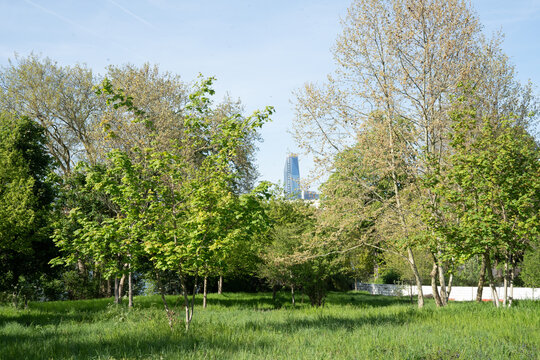 Visite &agrave; Bois de Boulogne &agrave; Paris, un jour ensoleill&eacute; avec des arbres