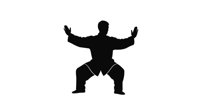 Man doing kung fu stance.