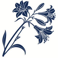 Fototapeta premium Xylobium Orchid Botanical silhouette Vector Illustration Isolated on White Background