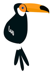 Obraz premium Toucan bird png illustration, transparent background