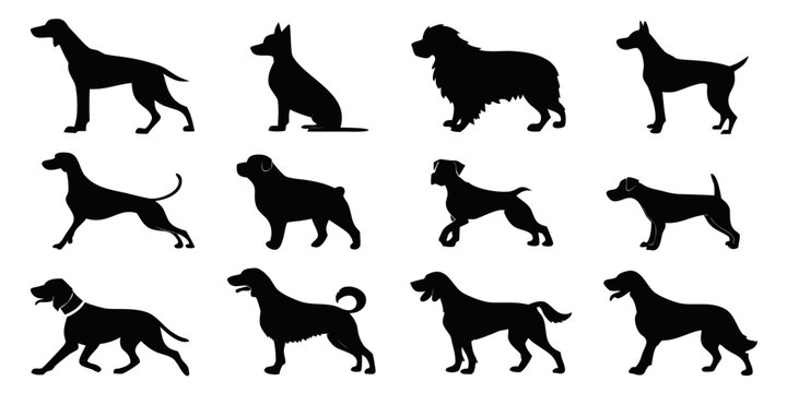 Black silhouette of 12 different dog breeds in a grid layout dog canine silhouettes