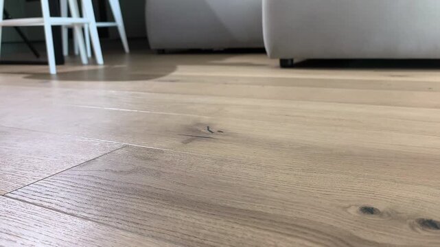 Close view shows vacuum cleaner brush with light cleaning wooden floor. Rotating head removes dust while illuminating surface area. Home routine highlights detailed hygiene maintenance