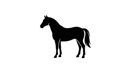 Fototapeta premium Elegant horse silhouette in solid black against white background