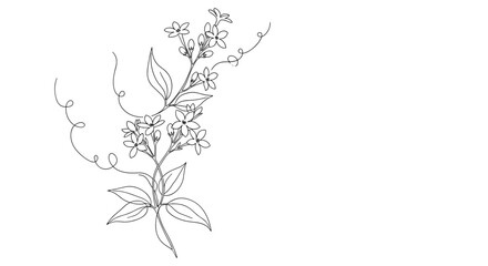 Fototapeta premium Detailed drawing of a plant.