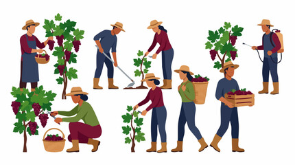 Fototapeta premium Illustrative set of people harvesting and cultivating grapes in a vineyard