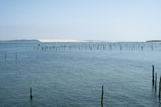 Tagliatelle crevettes au bord de l'eau pr&egrave;s des plateformes de p&ecirc;che