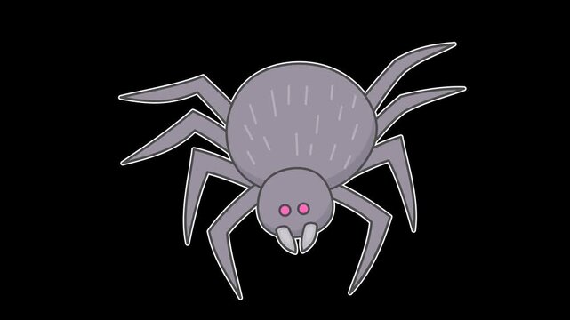 Seamless looping animation of a moving creepy spider for Halloween and wildlife insect concepts. Flat style sticker design element isolated on transparent alpha channel background