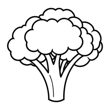 Detailed hand drawn broccoli vegetable vector illustration for healthy eating, organic farming, and nutrition concepts