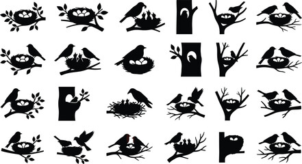 Black silhouettes of birds on tree branches and in nests, various poses and arrangements bird silhouettes © Graphic Shops
