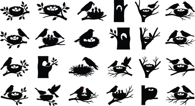 Black silhouettes of birds on tree branches and in nests, various poses and arrangements bird silhouettes