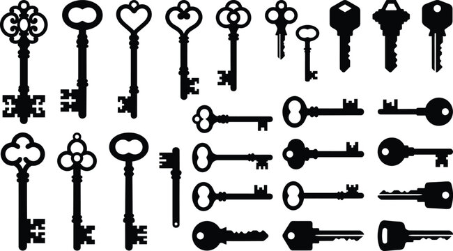 Collection of various black keys on white background, including skeleton, house, and padlock keys key collection