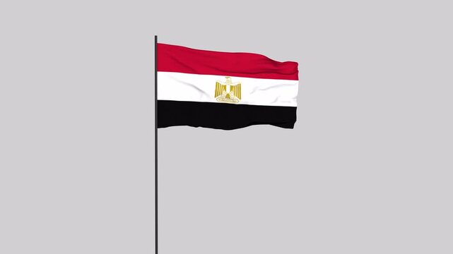Mishor Flag Animation 4K Transparent Background with Alpha Channel