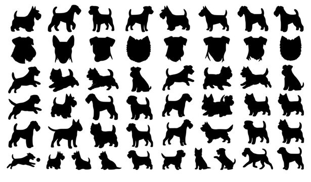 Purebred domestic pet dog icons large collection with wirehaired terriers heads profiles various active body postures stretching and fetching ball graphics