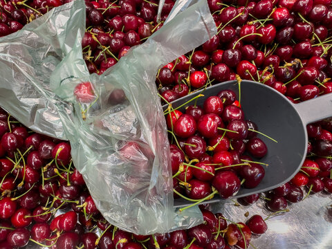 Fresh Cherries in a Supermarket with Plastic Bag &ndash; Environmental Pollution and Plastic Waste Concept