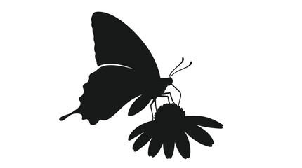 Butterfly And Daisy Silhouette Against A White Background © Sekh