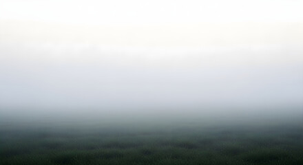 Fototapeta premium Atmospheric landscape of a grassy field shrouded in thick fog, creating a serene and mysterious natural scene