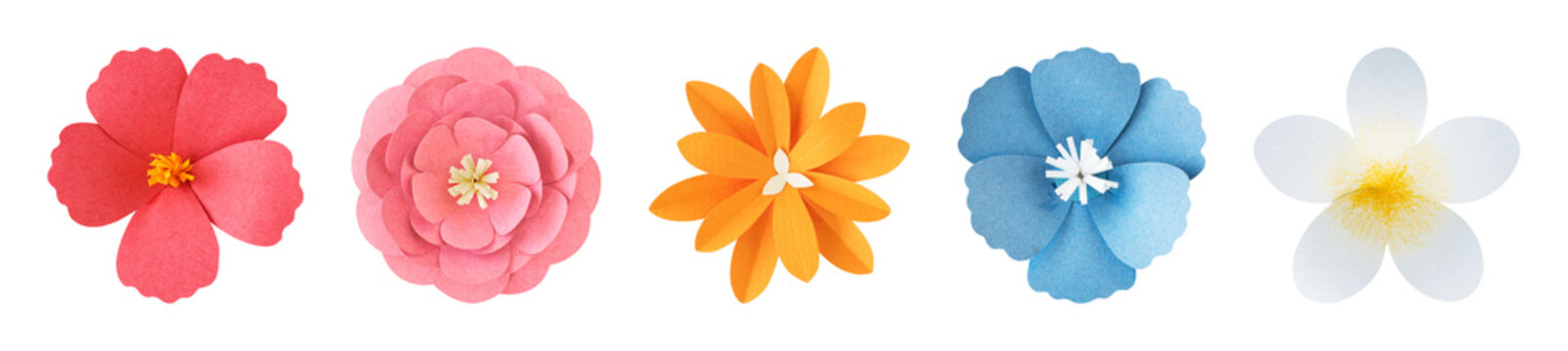 PNG Colorful paper flowers arrangement on transparent background