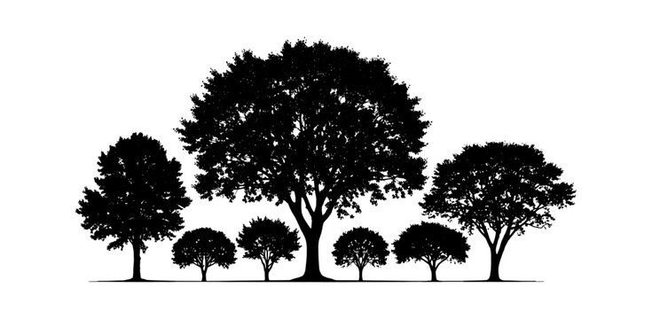 Black silhouette group of various trees and bushes in a row isolated on transparent background, Vector