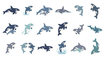 Collection of Orca Killer Whales in Various Poses and Actions, Vector Illustrations. © Pink