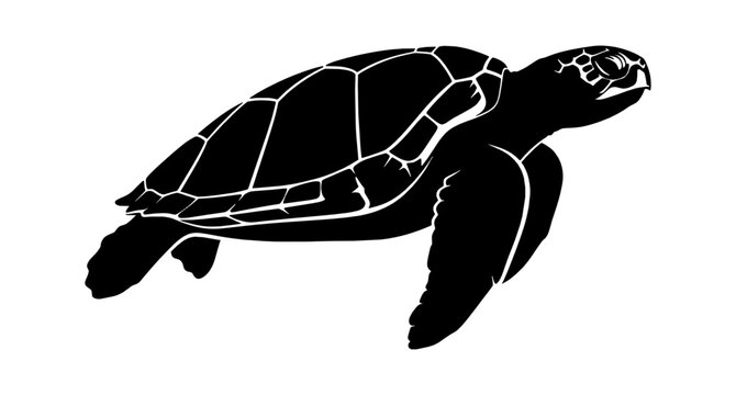 Black silhouette of a sea turtle swimming in the ocean isolated on transparent background, Vector
