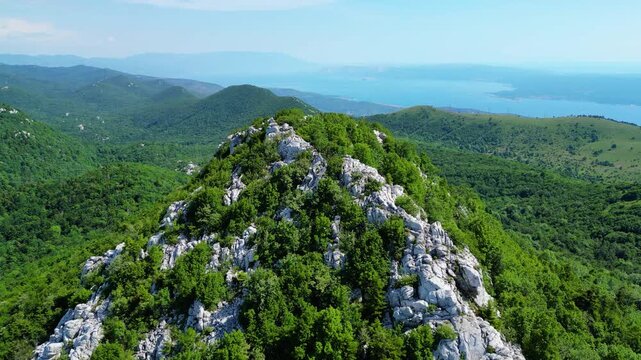 Lush green Velebit mountains meet the serene Adriatic Sea under a clear sky. An expansive aerial view of Croatia's stunning natural beauty and rugged coastline. Medvi?ak
