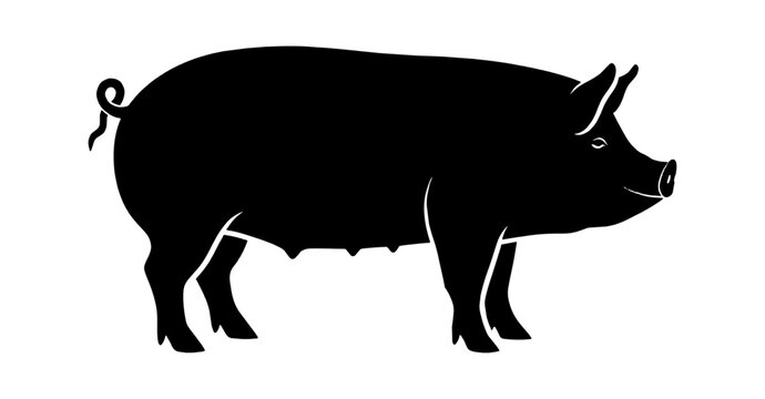 Black silhouette of a pig standing in profile isolated on transparent background, Vector