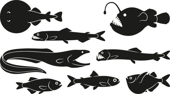 Deep Sea Fish Silhouette Icon Set Featuring Anglerfish Viperfish Gulper Eel And Electric Ray Species For Designs