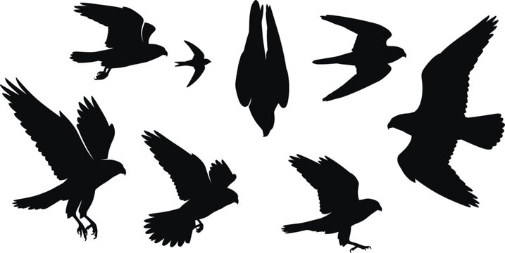 Flying Birds Of Prey Silhouette Icon Set Featuring Falcons And Hawks In Various Diving Poses
